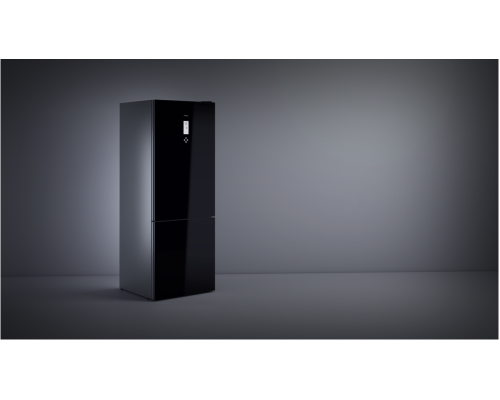 Двокамерний холодильник Teka RBF 78725 GBK 113400025